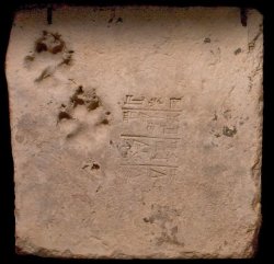 ishtargates: Brick from the moon ziggurat with dog paw prints