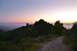 disimba:  disimba:  Shot from a trail I stumbled upon in Berkeley