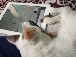 My cat has stolen my tablet, that’s why i haven’t