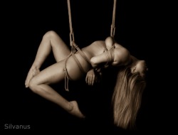 silvanusart: Suspension Virgin Tillie enjoys her first full rope