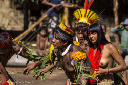   Encontro de culturas tradicionais da chapada dos veadeiros,