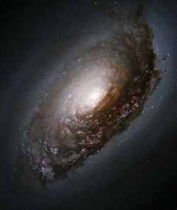 the-wolf-and-moon:    M64, The Black Eye Galaxy   