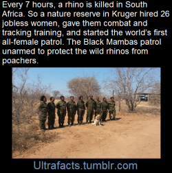 ultrafacts:  youreekofhavoc:  jiggymonster161:  ultrafacts: 