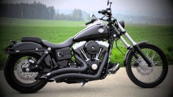 I need in my life. ASAP. I will have either a street bob or wide