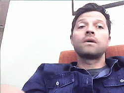 aniciakm: When Misha thought his livestream is not working 