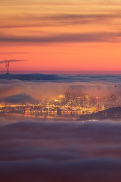 r2–d2:  Living in solitude by (tobyharriman) 