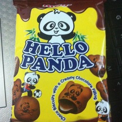 I wonder how this tastes like… #panda #cute #instagood