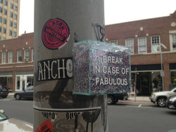 coolproblemstohave:IN CASE OF FABULOUS