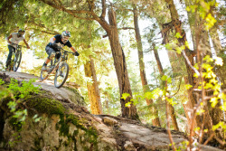 Dirty Two Wheels (Dilettante wanderluster)