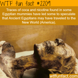 wtf-fun-factss:  Traces of coca and nicotine found in Egyptian