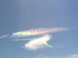 astock:  Saw an Iridescent cloud for the first time! How exciting!