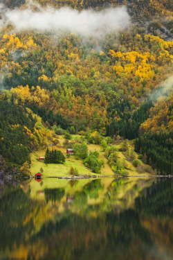 bluepueblo:  Autumn Lake, Norway photo via kevin 