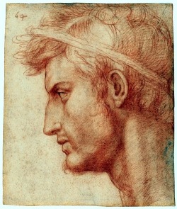 Study for the Head of Julius Caesar by Andrea del Sarto.