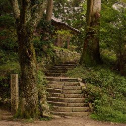 wanderthewood:  Steps lead up to the wooded Sanno-in sub-temple