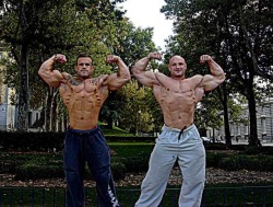 My Bodybuilding Motivational Blog '13
