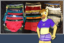Fuze’s Undie Hoard, Part 4Finally done with just briefs.