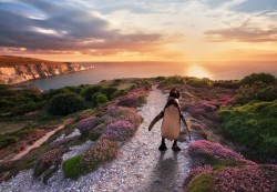 landture:  Dippy Headon Warren by jeremycangialosi 