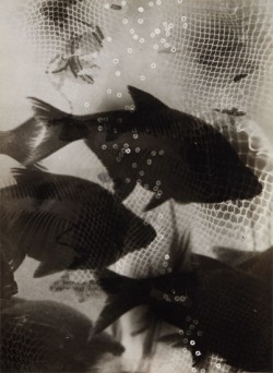 inneroptics:HEINZ HAJEK HALKE