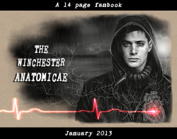 petite-madame:  The Winchester Anatomicae is a 14 page fanbook