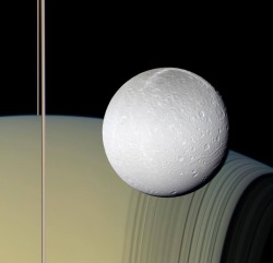 spaceexp:  This is a real photograph of Dione taken by the Cassani