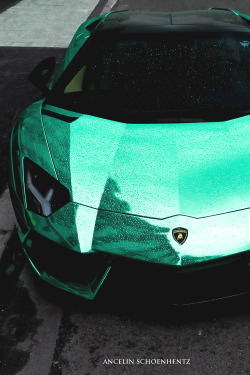 motivationsforlife:  Lamborghini Aventador LP700-4 Roadster by