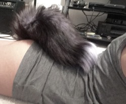 angiecat97:  Another picture of my new tail :3 I just love it