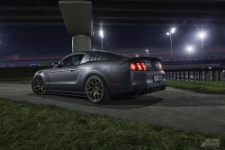 automotivated:  (via 500px / Roush by Sergey Shumilov)