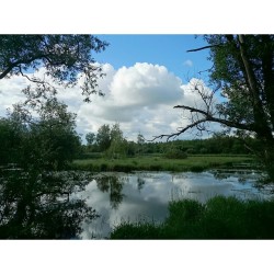 #Palace #park, #Gatchina #Russia  #travel 🌍   #nature #beauty