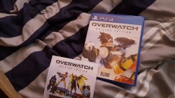 dacommissioner2k15:  Bit the bullet and scooped up Overwatch!!!