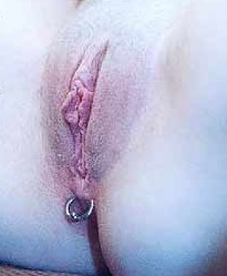 A very rare example of a female guiche piercing (between genitals