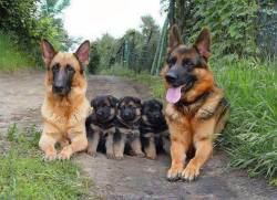 Proud papa and his family