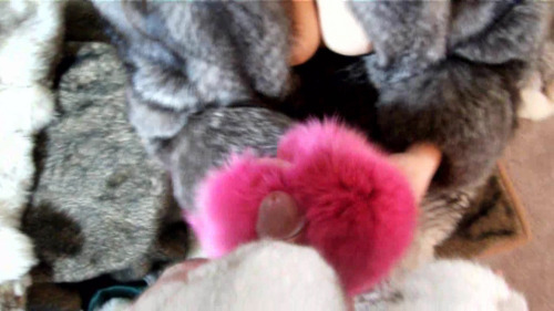 New fox spooging goodness from Eva, â€œPOV CUM ON FURâ€, posted on her Southern Charms page. Features my dyed fox boa with the assist, spraying all over the collar of a full length fox. That is, after all, where all loads should go, heh.Sure, the human