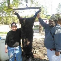 OK pictures from the hog hunt this weekend at home here in Texas
