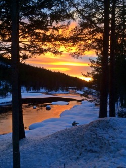handyman-69:  Fantastic sunset in Telemark today! 
