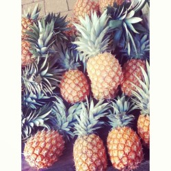 rosyblush:  alelula:  powher:  pineapples  ✿ more rosy here