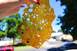 stayhigh-laylow:  DABZ ANYONE?