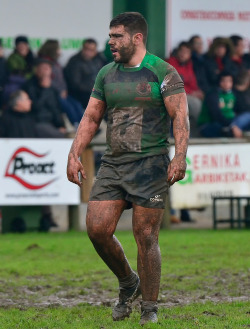 roscoe66:  Hot rugby men 