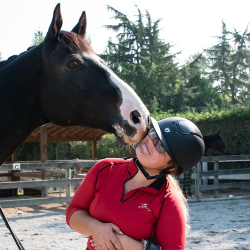 Dressage Diva