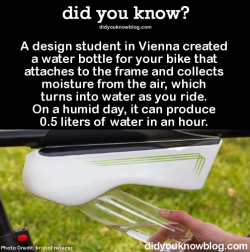 did-you-kno:  A design student in Vienna created a water bottle