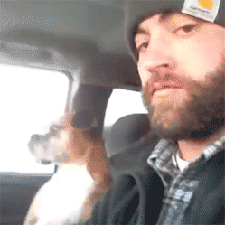 onlylolgifs:  Don’t you ever touch me again! 