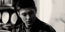 veil-of-oblivion:  Dean is an owl and nobody is going to convince