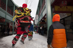 photographersdirectory:  A Chinese lion dancer confronts a little