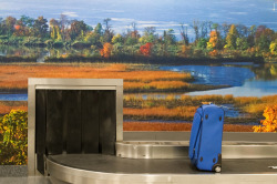 1030-42929:  Stewart Airport, Baggage Claim A, 2008Mark Lyon