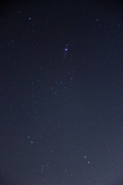sexy-uredoinitright:  I took this shot of the constellation of