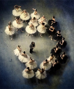 chiffonandribbons:  Ballet Photography by Mark Olich 