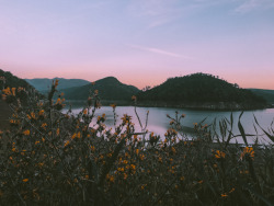 leaberphotos:  Trimmer Campground, Pine Flat Lake, Californiainstagram