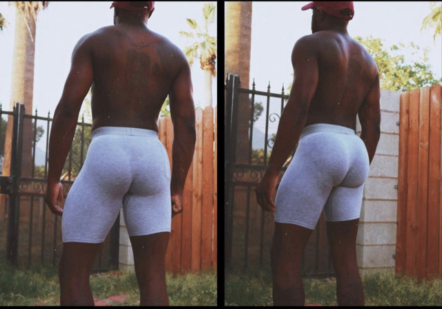darkstalliondmv: