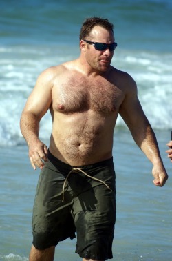 cechavez:  bearcolors:  New Photos of hot beefy hairy men posted