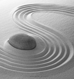 ~e edit/ tumblr mark’d/ Dream Time Japanese Meditation Garden