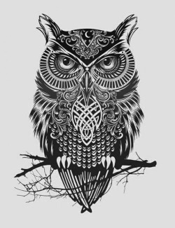 TRIBAL OWL